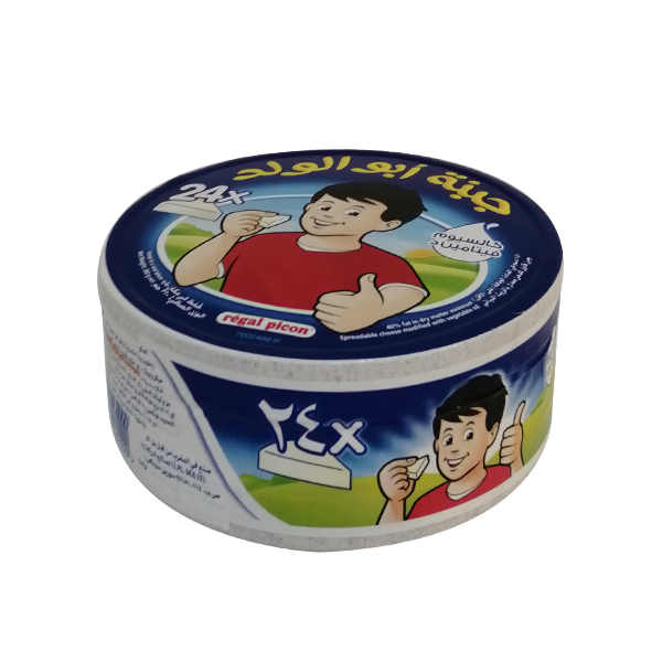 Regal Picon 24 Portn 1X360G