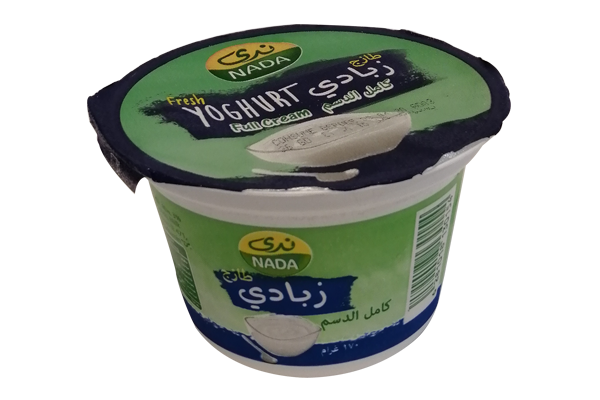 Nada Fresh Yoghurt1X170G