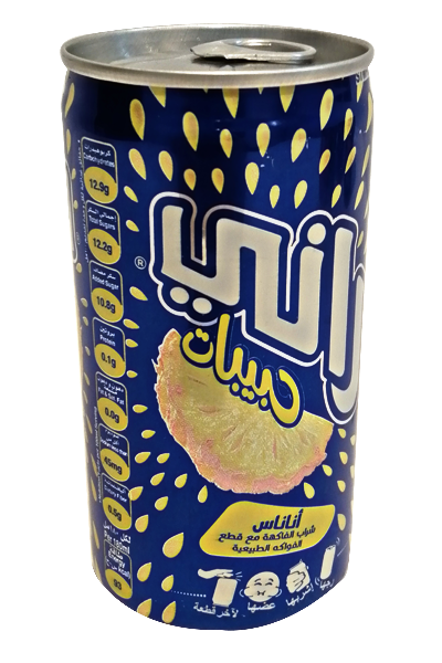 Rani Float Pineapple 180Ml Can