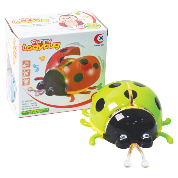 Funny Ladybug #061A
